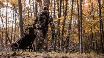 The No. 1 Best Rut Stand for Whitetails—Period.