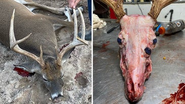 Texas Hunter Takes Deer With Three Eyes