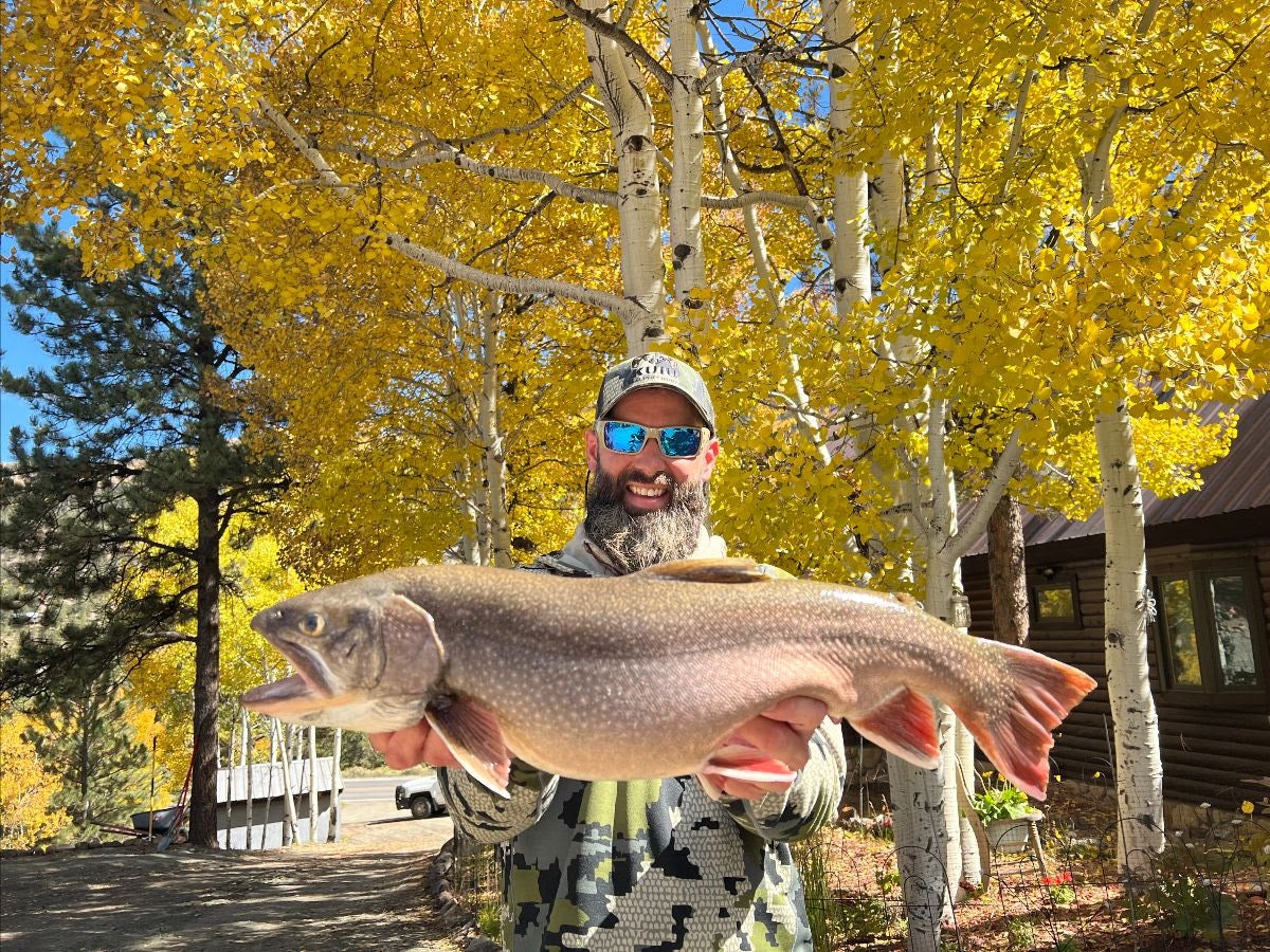 colorado record brook trout