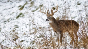 Best Gifts for Deer Hunters