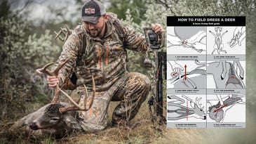 How to Field Dress a Deer—the Right Way