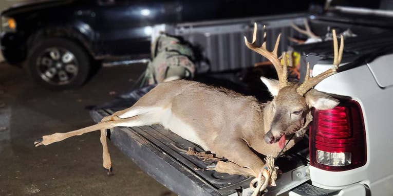 Virginia Bowhunter Downs Rare Antlered Doe with Impressive 8-Point Rack