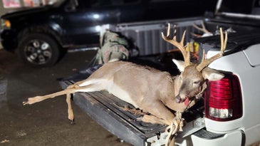 Virginia Bowhunter Downs Rare Antlered Doe with Impressive 8-Point Rack