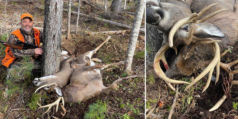 Maine Hunter Tags 9-Point Buck Locked Up with a Dead 10-Pointer