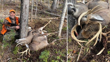 Maine Hunter Tags 9-Point Buck Locked Up with a Dead 10-Pointer