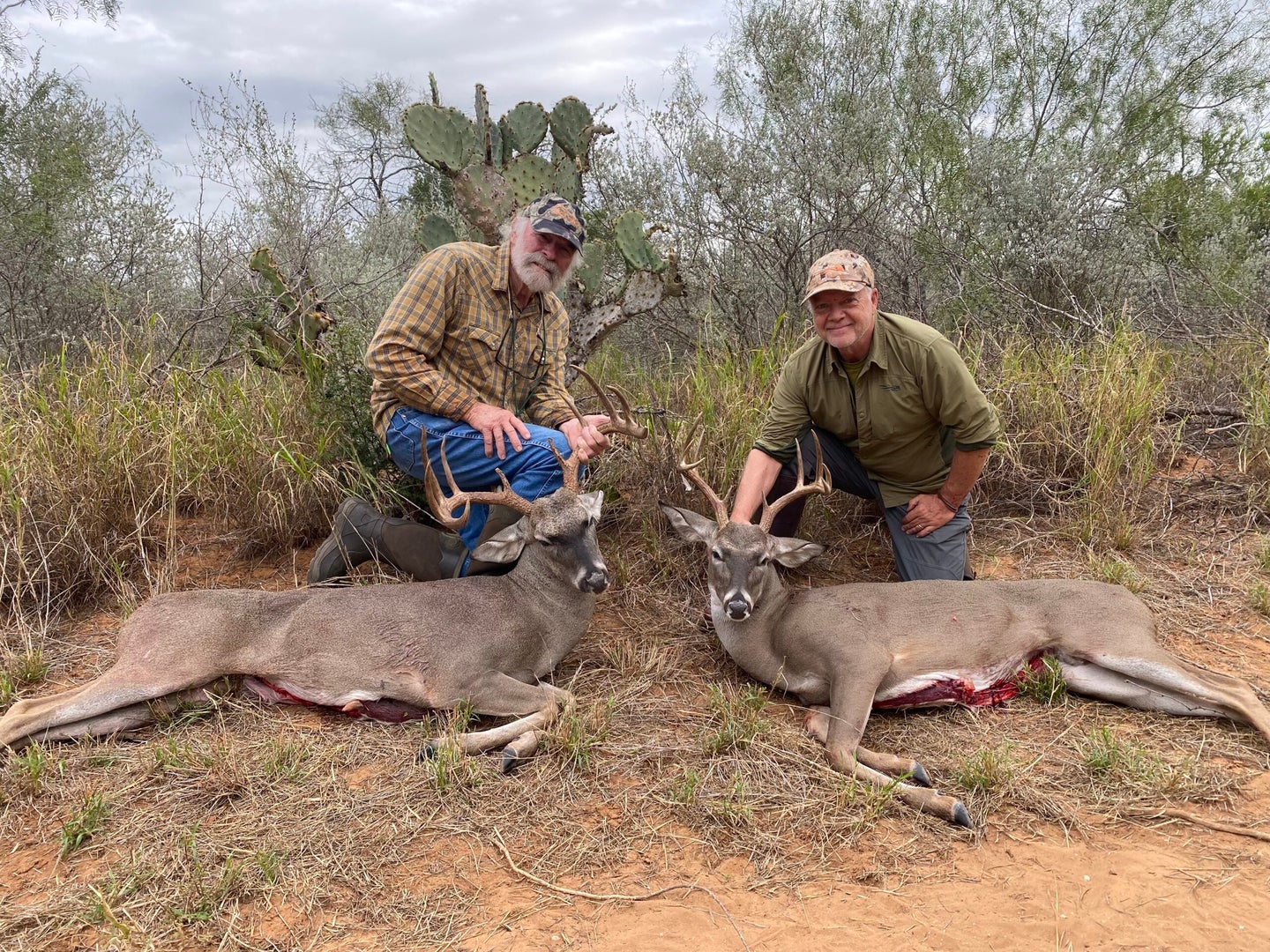 texas hunters with whitetail deer