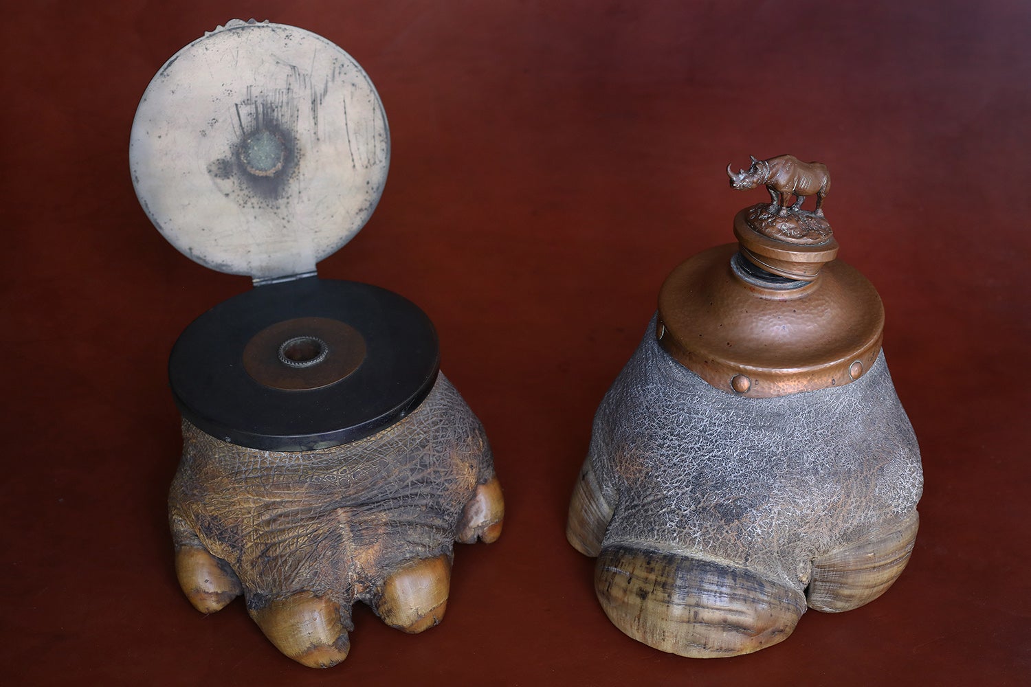Inkwells made from animal feet.
