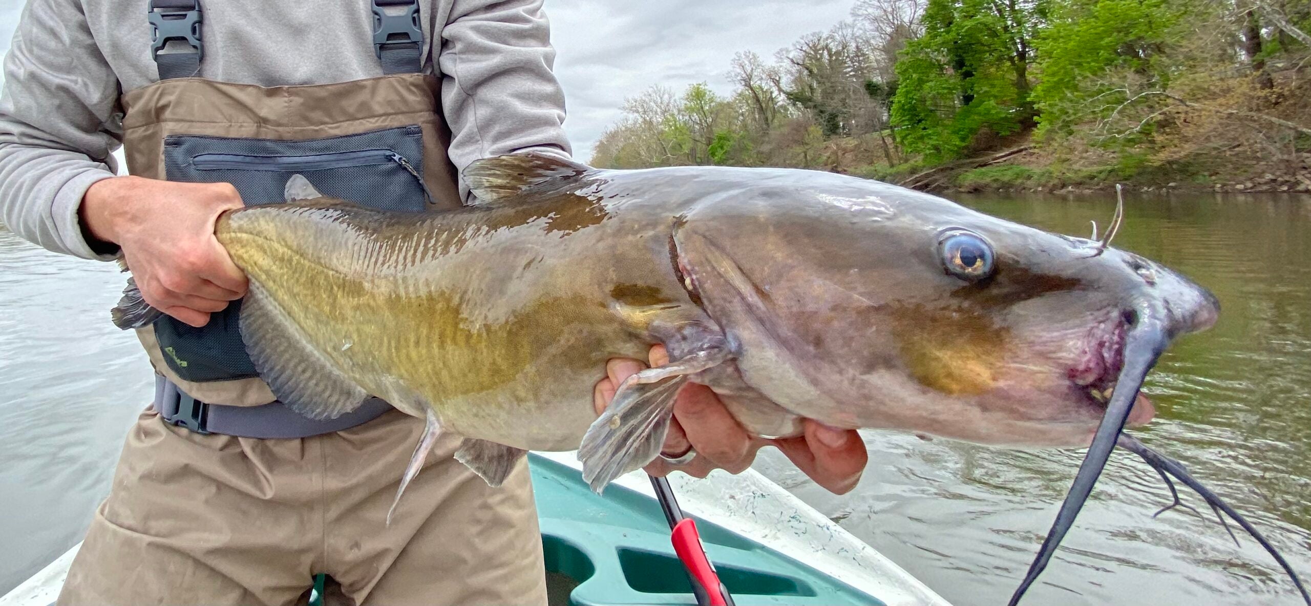 Catching BIG Catfish in TINY Boat - tips and tactics to catch more catfish  