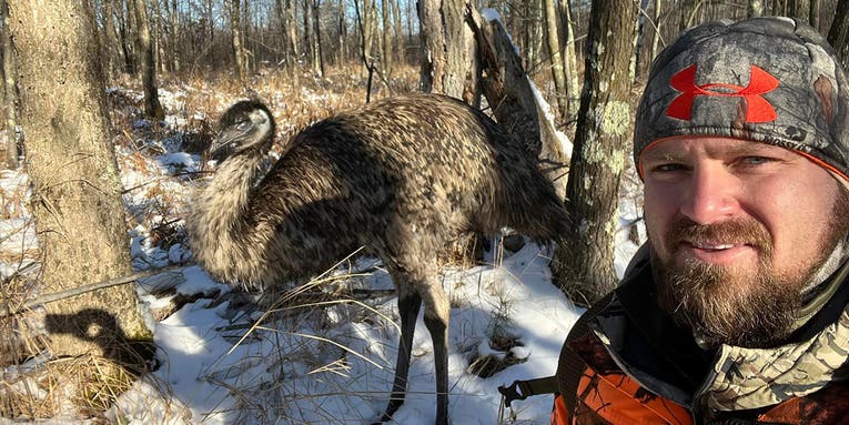 Wisconsin Hunter Tags Buck While Hunting With… An Emu