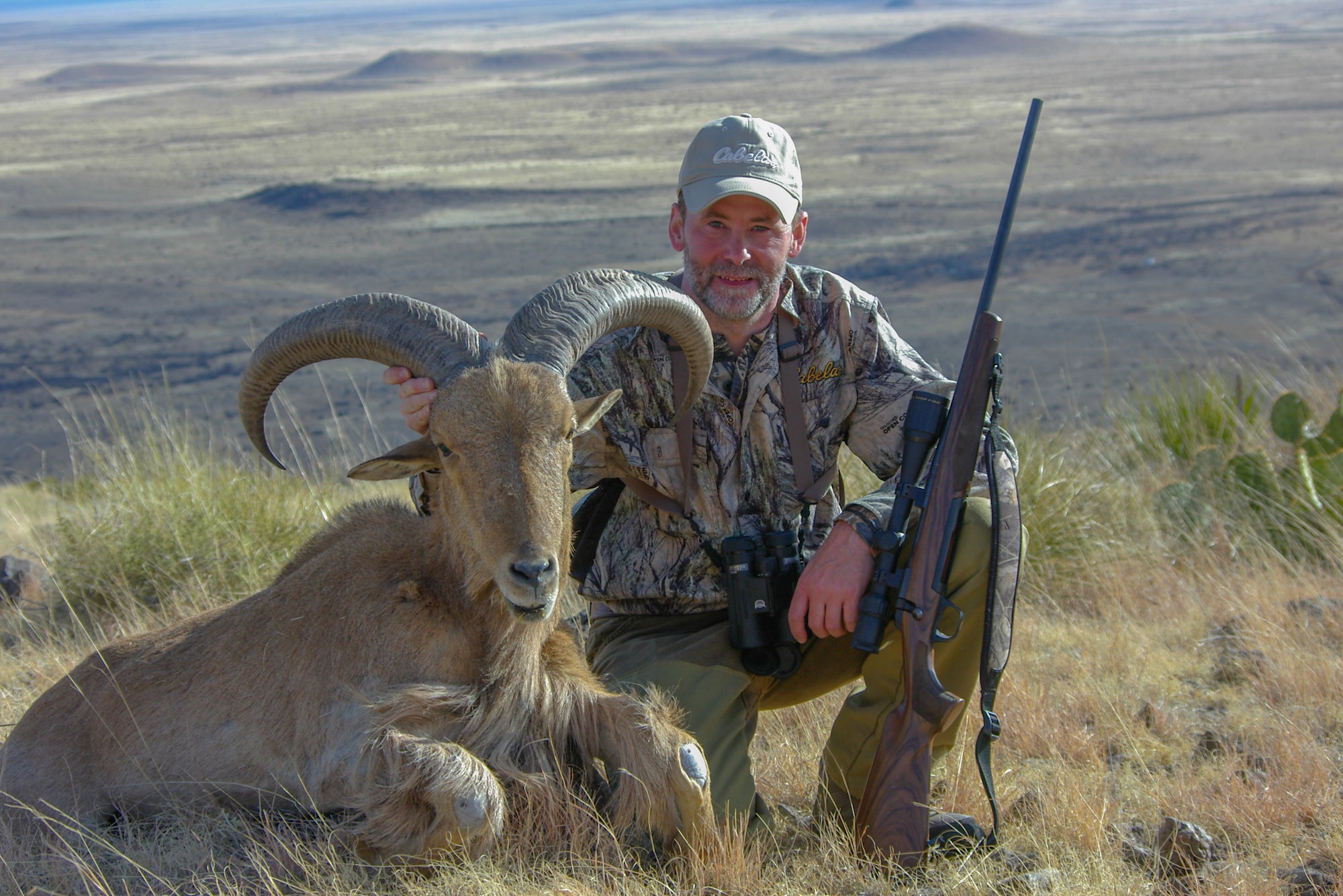 Man sitting next to dead mountain sheep. When it comes to 270 vs 308, it's hard to decide which cartridge to hunt with. 