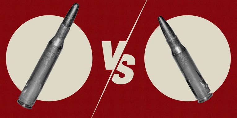 270 vs 308: Which One is the Better Big Game Cartridge