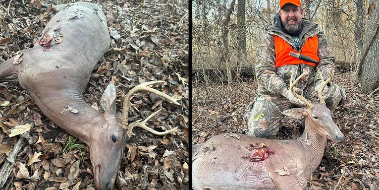 Illinois Hunter Tags Unusual-Looking Hairless Buck
