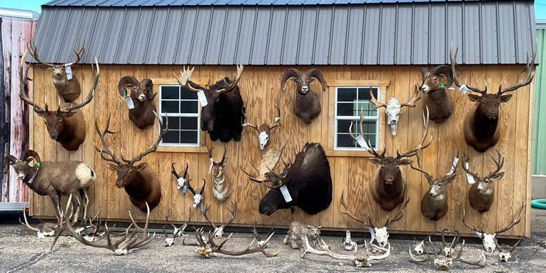 Three Men Charged in One of the Biggest Poaching Busts in Wyoming History
