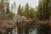 A promising stretch on the Metolius.