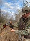 hunter admires mandarin duck