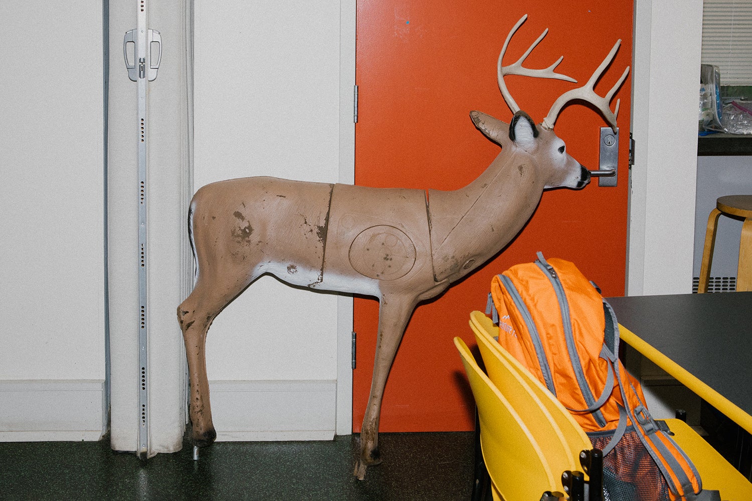 3D deer target