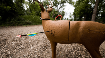 The 5 Best Archery Targets of 2024