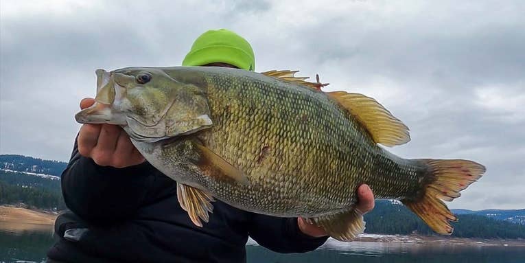 Idaho Angler Catches and Releases Jumbo 23.75-Inch State Record Smallmouth Bass