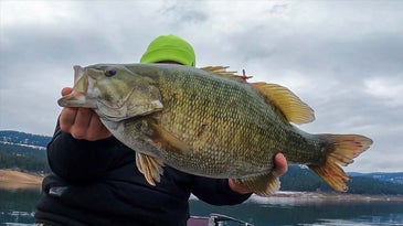 Idaho Angler Catches and Releases Jumbo 23.75-Inch State Record Smallmouth Bass