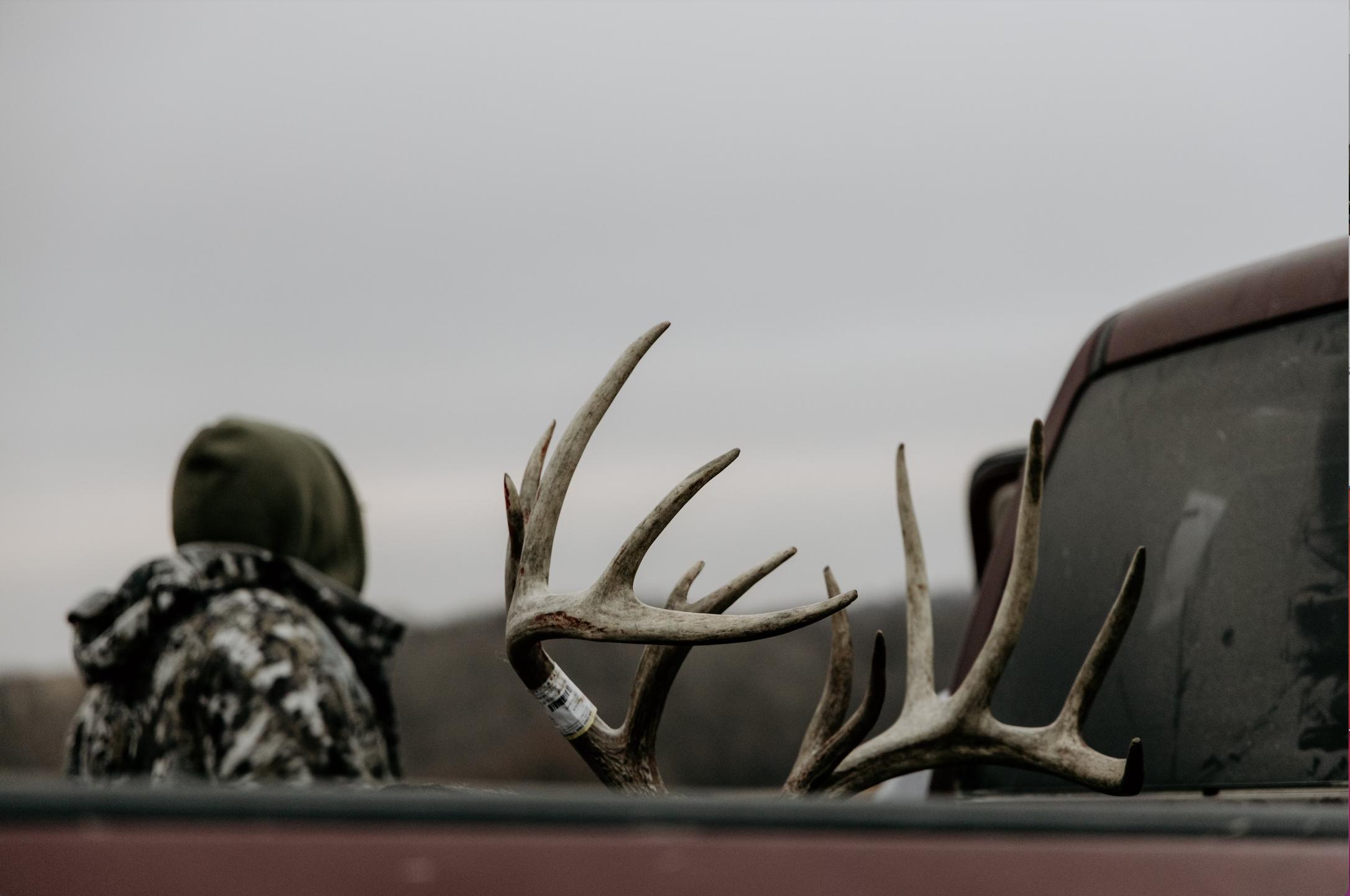 photo of buck in truck