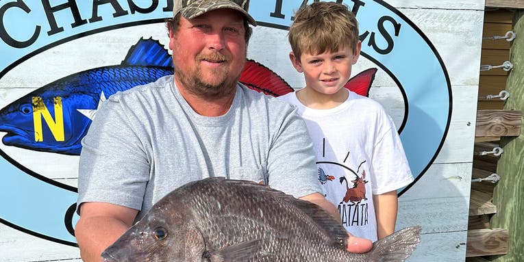 North Carolina Angler Catches Record-Breaking White Grunt