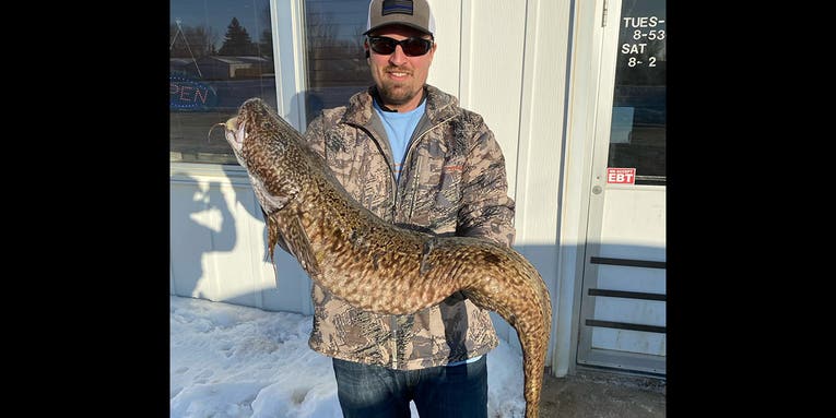 North Dakota Angler Catches Massive 19-Pound State Record Burbot