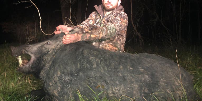 5 of the Biggest Wild Hogs Ever Taken by Hunters