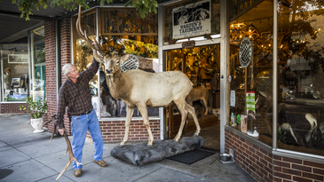 A Visual Tour of the Biggest Little Taxidermy Shop in the South