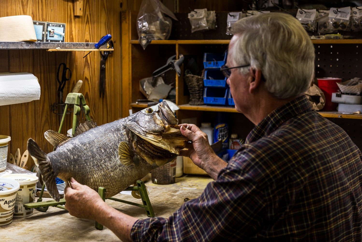 Man working on fish taxidermy.