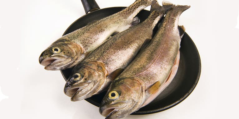 Does a New Study Mean You Should Stop Eating Freshwater Fish Forever?