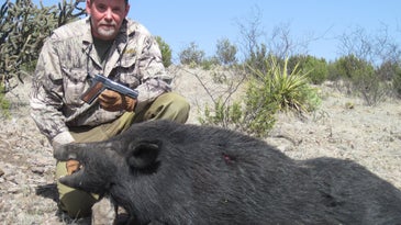 The 8 Best Handguns for Hunting Hogs