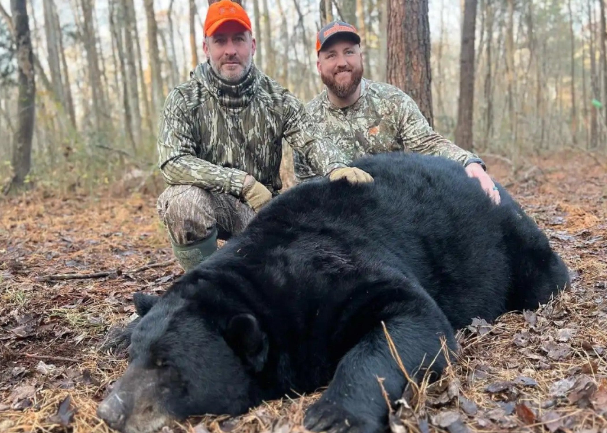 Retired Marine Tags 717-pound Black Bear While Hunting in North Carolina