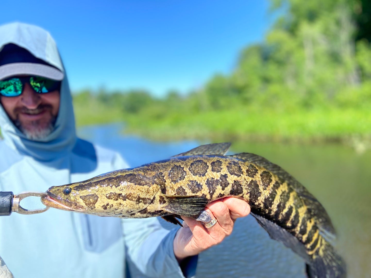 angler with an invasive snakehead