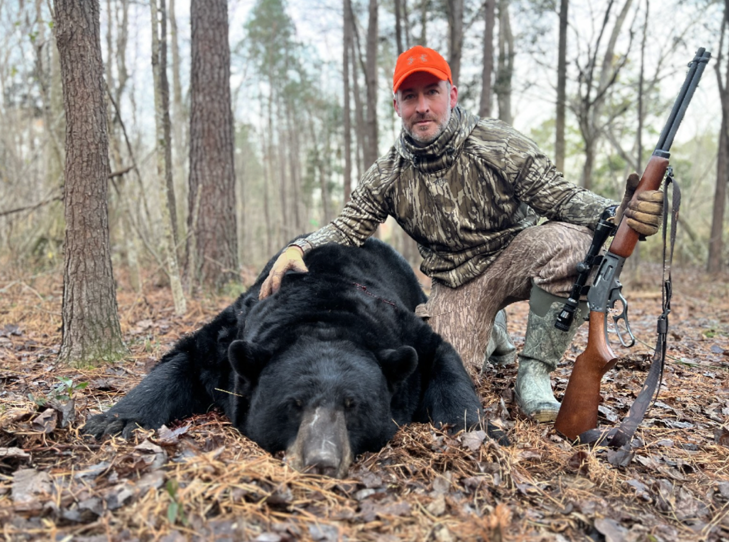 717-pound black bear