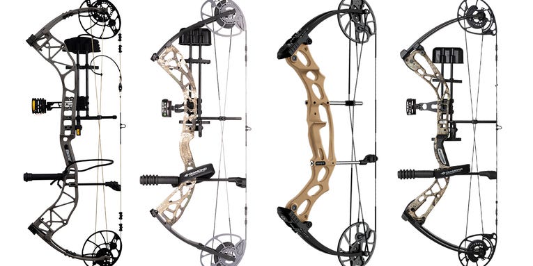 The Hottest New Budget Compound Bows for 2023