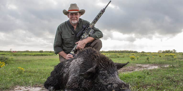 The Best Rifles For Hunting Wild Pigs