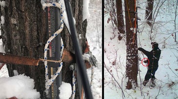 Michigan Man Cuts Straps on Another Hunter's Tree Stand, Causing Dangerous 20-Foot Fall