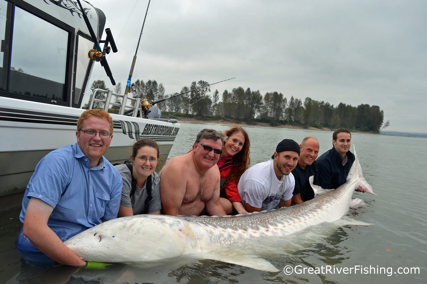 Eight people stand in water while holding and posing with a giant white sturgeon.