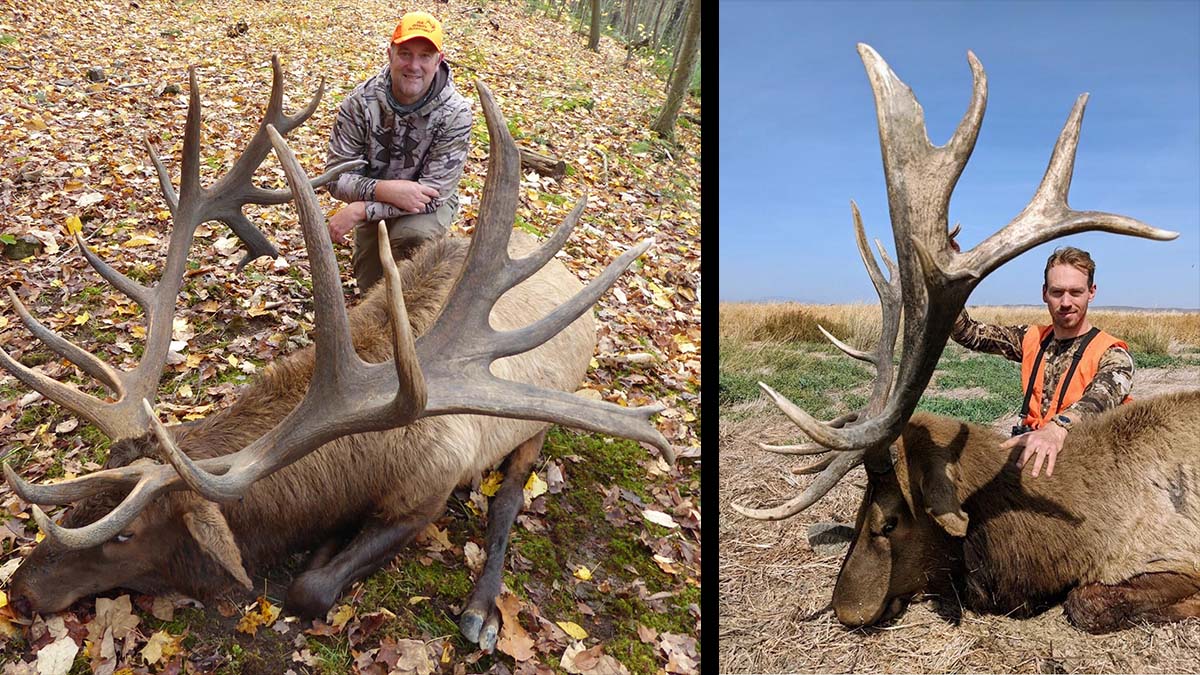 two hunters pose with large bull elk