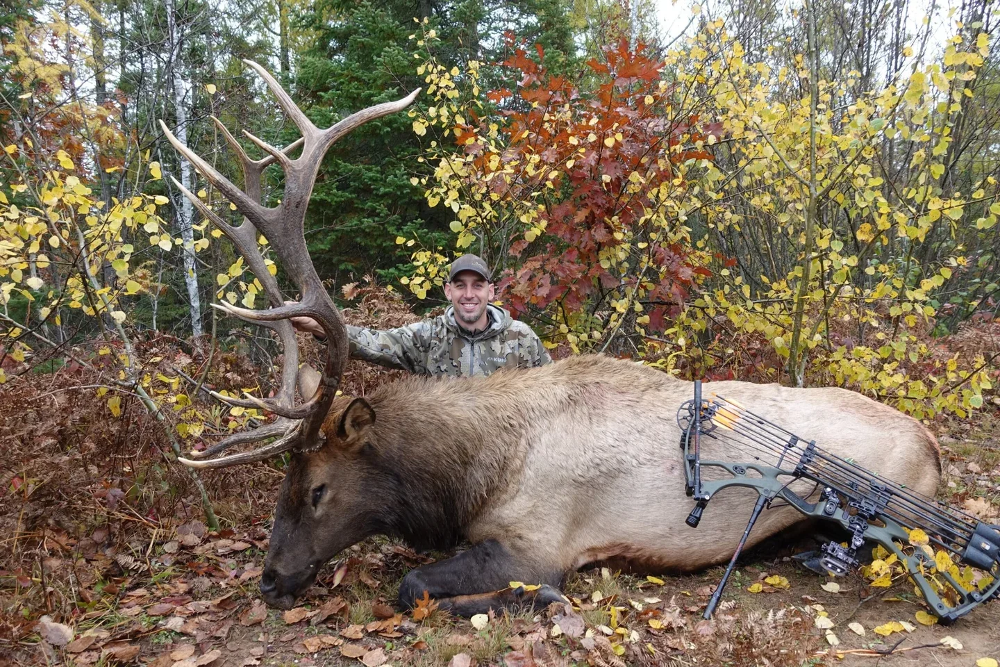 bowhunter with giant bull elk
