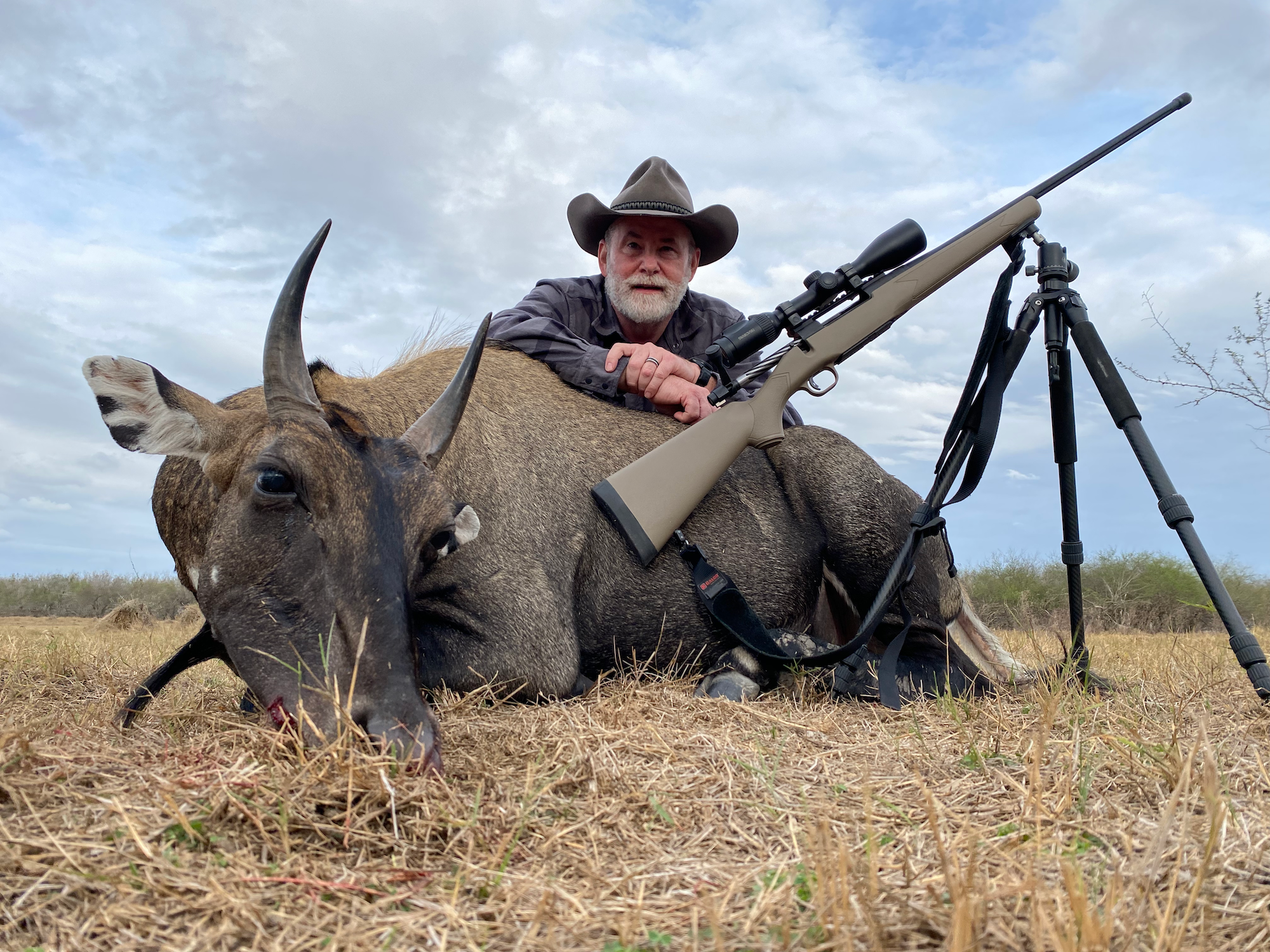 Hunter with Mossberg Patriot rifle next to dead nilgai