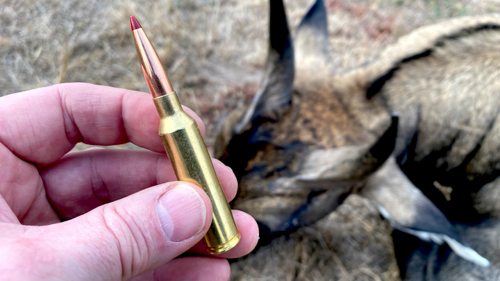 Hornady 7mm PRC: Tested and Reviewed