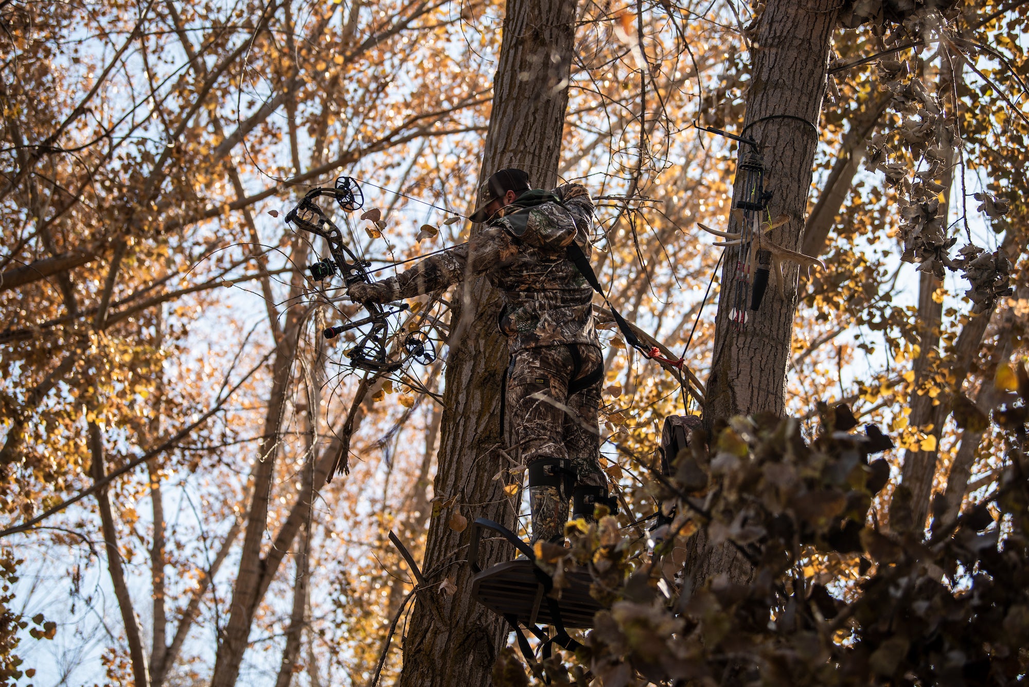 photo of hunter in treestand