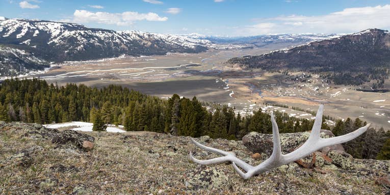 Wyoming Looks to Ban Nonresident Shed Hunting for First Three Days of Spring Season
