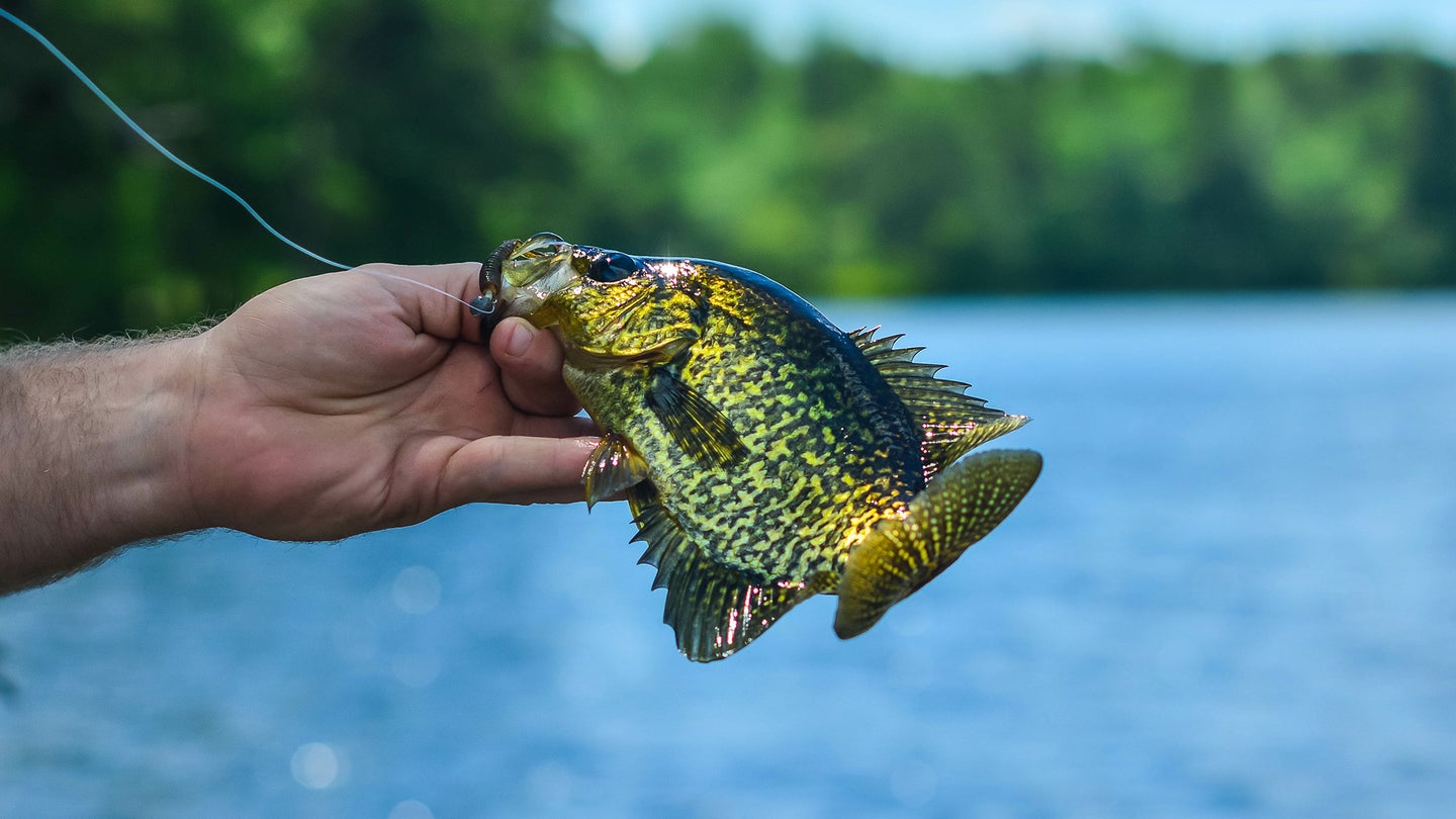 Crappie fishing requires the most sensitive ultralight rods