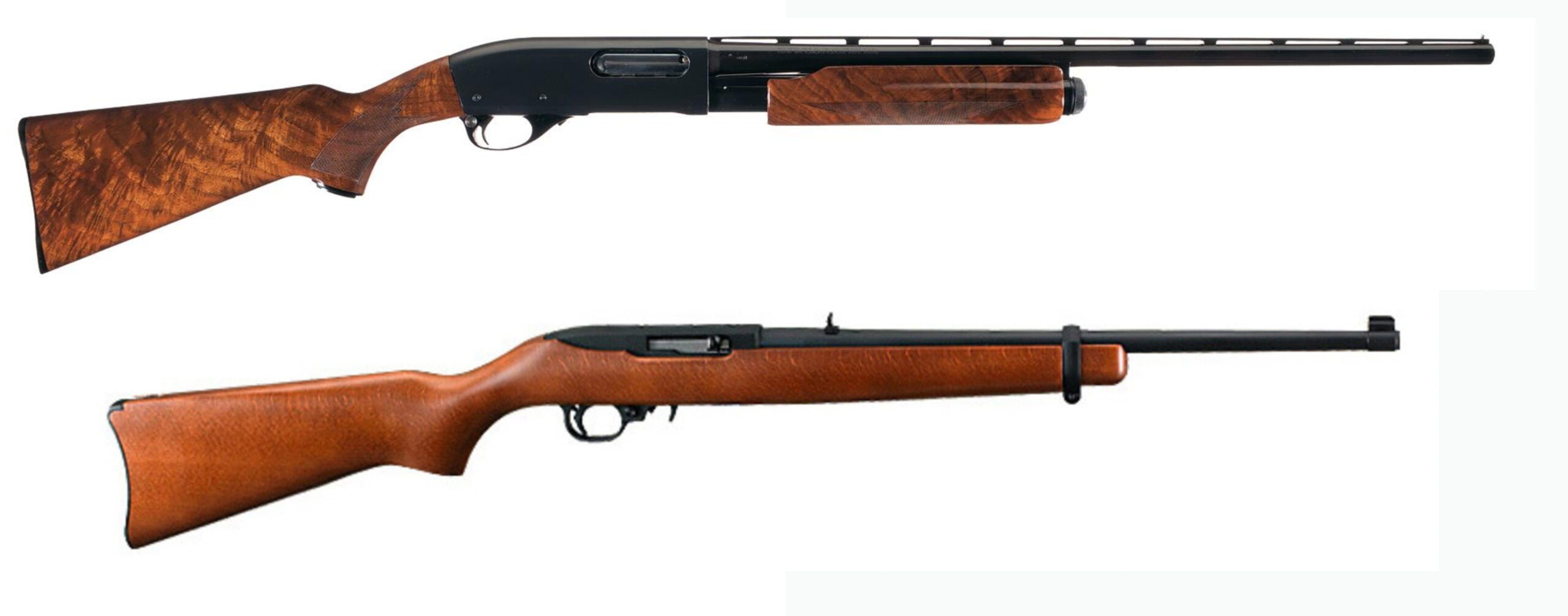 photo of two popular guns for how to hunt rabbits