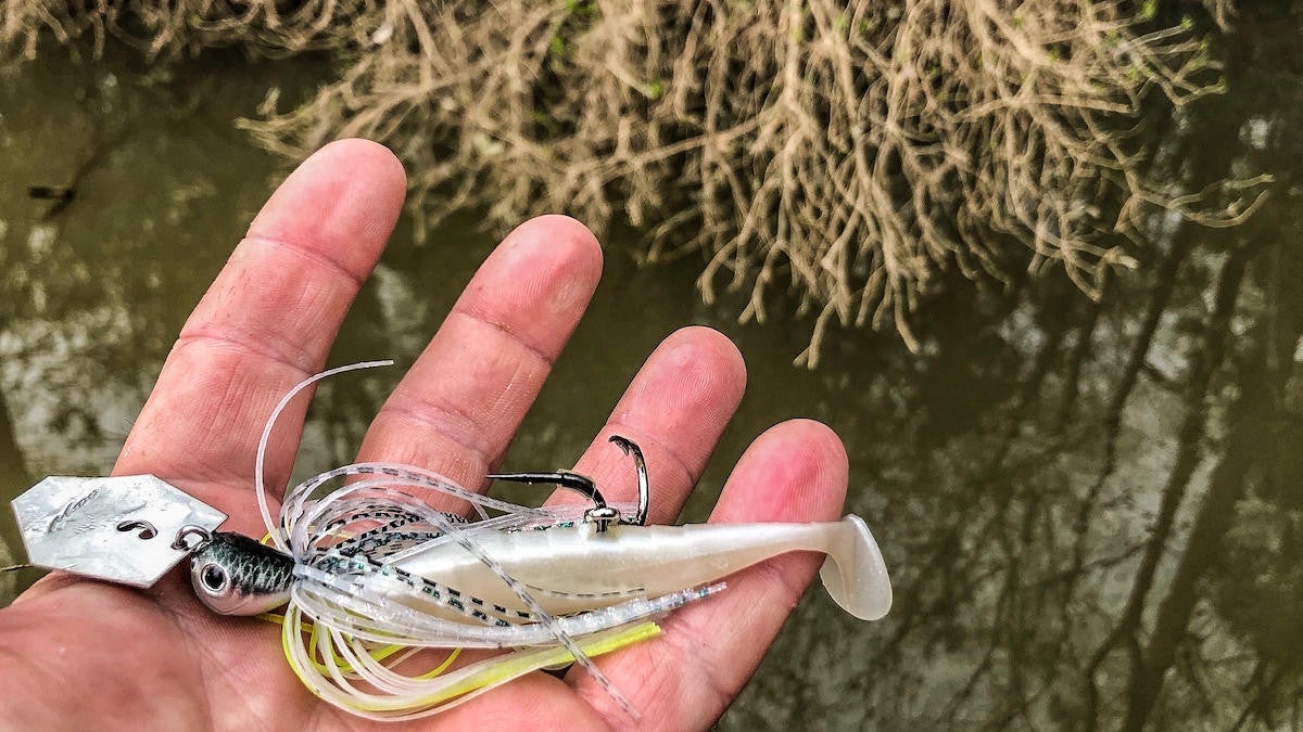 An angler uses a chatterbait lure for largemouth bass