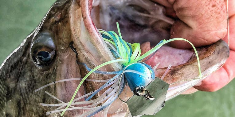 How to Fish a Chatterbait