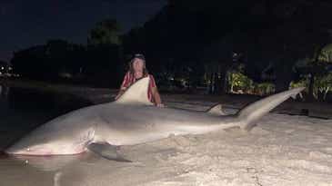 Angler Catches 10-Foot Bull Shark Less Than a Mile from the Scene of a Recent Fatal Shark Attack