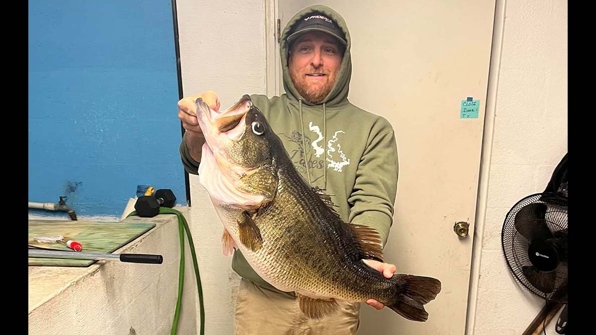 angler holds giant bass
